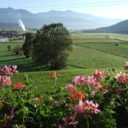 Ferienwohnungen Trattner Mauterndorf  Ngoại thất bức ảnh