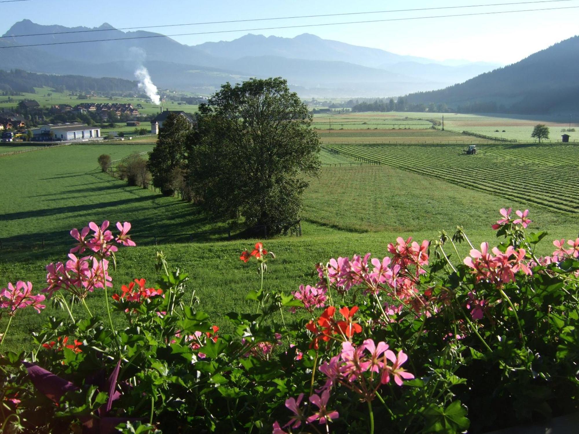 Ferienwohnungen Trattner Mauterndorf  Ngoại thất bức ảnh